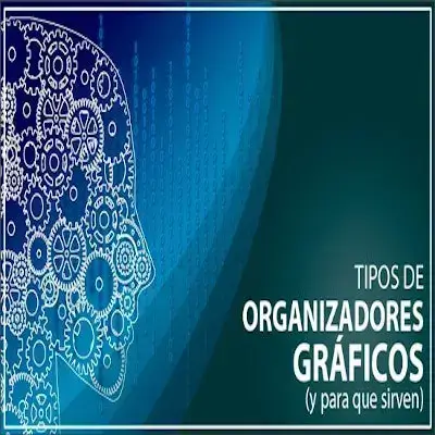 11_tipos_de_organizadores_graficos