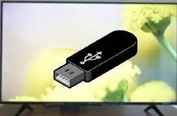 Aplicación en el Smart TV a través de memoria USB